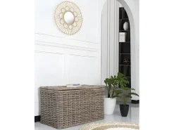 Arca de arrumação em kubu TIMGAD - C100 x L55 x A55 cm - Cinza