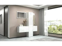 Armário de entrada Dcrescenz, Armário multifuncional com 3 portas, Cabide de parede com espelho, 170x35h190 cm, Branco