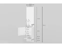 Armário de entrada Dcuadrad, Armário multifuncional com espelho, Sapateira de 1 folha, 45x35h190 cm, Branco