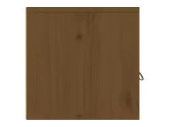 Armários de parede 2 pcs 60x30x30 cm pinho maciço castanho-mel