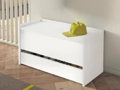Baú Dgaiard, Móvel de entrada moderno com sapateira, Baú com dois recipientes, 100% Fabricado na Itália, 90x40h46 cm, Branco