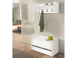 Baú Dgaiard, Móvel de entrada moderno com sapateira, Baú com dois recipientes, 100% Fabricado na Itália, 90x40h46 cm, Branco
