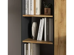 Bücherregal carvalho antracite/goldkraft 40x30x120 tomy