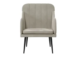 Cadeira com apoio de braços 63x76x80 cm veludo cinzento-claro PT785145