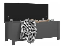Caixa arrumação c/ almofadão contraplacado 105x40x45 cm cinza PT232357