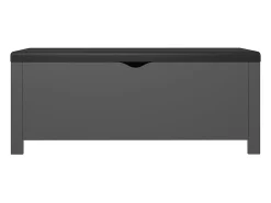 Caixa arrumação c/ almofadão contraplacado 105x40x45 cm cinza PT232357