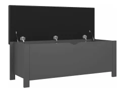 Caixa arrumação c/ almofadão contraplacado 105x40x45 cm cinza PT232357