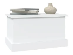 Caixa de arrumação 50x30x28 cm derivados de madeira branco PT585850