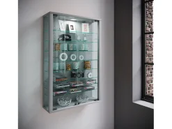 Caixa de exposição de vidro VCM pendurada | Vitrine de vidro com vidro de segurança ESG | Dimensões: A. 91 x L. 59 x P. 18 cm | Vitrosa Mini (prata)