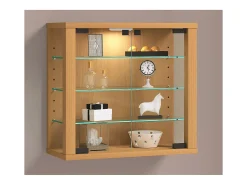 Caixa de exposição de vidro VCM pendurada | Vitrine de vidro com vidro de segurança ESG | Dimensões: A. 40 x L. 43 x P. 18 cm | Vitrosa S (faia)