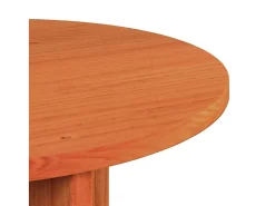 Conjunto de 2 Mesas de Centro | Mesa de apoio Castanho-mel 49x49x28 cm