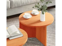Conjunto de 2 Mesas de Centro | Mesa de apoio Castanho-mel 49x49x28 cm