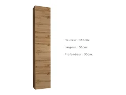 Conjunto de móveis para sala de estar estilo industrial SWITCH M5. Cor carvalho.