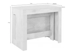 Consola extensível Dguigo, Consola extensível até 12 lugares, Mesa com suportes de extensão, 100% Fabricado em Itália, 51/300x90h77 cm, Ardósia