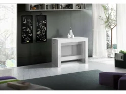 Consola extensível Dguigo, Consola extensível até 12 lugares, Mesa com suportes de extensão, 100% Fabricado em Itália, 51/300x90h77 cm, Lariço branco brilhante