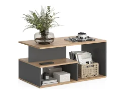 Couchtisch carvalho goldkraft/antracite 90x49.4x43.8 hasso