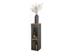 Garrafeira carvalho goldkraft/antracite 30x34.5x106 repose