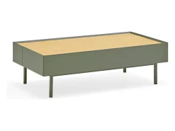 Mesa baixa verde 110x60 cm