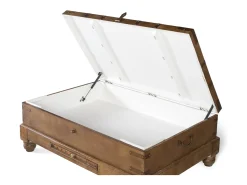 Mesa basse de style baú em bois de manguier