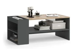 Mesa de centro antracite/sonoma 100x55x42 wido