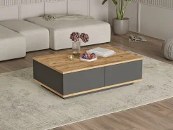 Mesa de centro com 2 portas - Natural Claro e Antracite - LOTULA