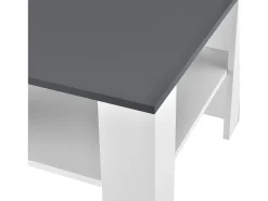 Mesa de centro para sala de estar 60 x 60 x 40 cm branca e cinza escuro 03_0008433