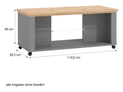 Mesa de Centro 114,5x49x50,5 cm Cinza