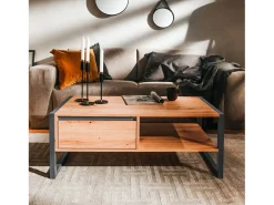 Mesa de Centro 100x40x55 cm Cinza Natural