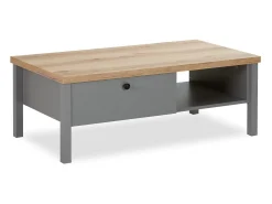 Mesa de Centro 110x40,5x60 cm cinza