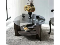 Mesa de sala de estar Dcaporal, Mesa baixa de café, Porta-revistas para sofá, Prateleira de sala de estar, 75x75h40 cm, Antracite e Castanho
