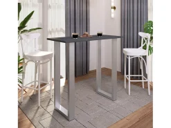 Mesa VCM Bar | Tresen | Mesa em pé | Mesa alta | Mesa Bartresen - Xona 110x50 cm (Prata / Antracite)