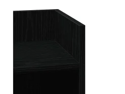 Mesas laterais 2 pcs com prateleira 110x50x103 cm preta