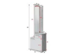 Móvel de entrada Waltham, Sapateira multifuncional com espelho, roupeiro 1 porta e 1 gaveta, 61x28h185 cm, Cimento e Branco Brilhante