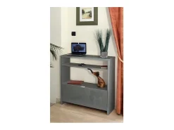 Móvel para sapatos e console de entrada SCOTT de 93 cm na cor cinza brilhante.