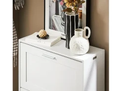 Móvel para sapatos moderno com 2 portas basculantes, Branco, 60x25x80cm, FSR137-W