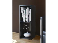 Prateleira VCM Wood CD DVD | Armazenamento | Dimensões A. 72 x L. 34 x P. 30 cm | Prateleira de Decoração | Estante Mendas 2 Compartimentos (Preto)
