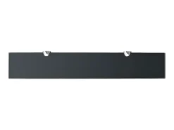 Prateleiras flutuantes 2 pcs vidro 60x10 cm 8 mm PT568399