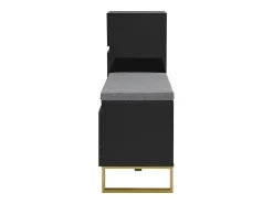 Sapateira com 3 portas, 1 gaveta e almofada - Preto e dourado