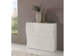 Sapateira Dabayom, Armário multiuso com 2 portas dobráveis, Sapateira de entrada, 100% Fabricado na Itália, 101x27h82 cm, Branco brilhante