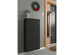 Sapateira Danacleri, Sapateira de metal, Armário de entrada multiuso, Armário de calçado, 50x15h104 cm, Preto