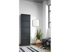 Sapateira Dandracchi, Sapateira de metal,Armário de entrada multiuso,Armário para calçado, 50x15h172 cm, Preto