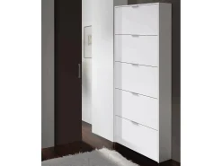 Sapateira Danobile, Sapateira com 5 portas dobráveis, Sapateira de entrada alta, Sapateira moderna, 70x17h180 cm, Branco brilhante