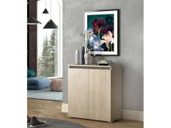 Sapateira DbAllarin, Armário multiuso, Sapateira economizador de espaço com 2 portas, Armário de arrumação com prateleiras, 100% Made in Italy, 80x37h102 cm, Olmo