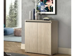 Sapateira DbAllarin, Armário multiuso, Sapateira economizador de espaço com 2 portas, Armário de arrumação com prateleiras, 100% Made in Italy, 80x37h102 cm, Olmo
