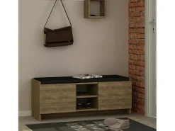 Sapateira Dbarrec, Sapateira, Armário de entrada multiusos, Armário de calçado, 110x37h43 cm, Carvalho