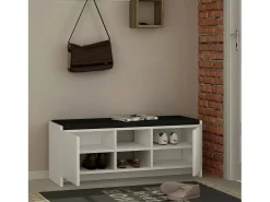 Sapateira Dbarrec, Sapateira, Armário de entrada multiuso, Armário de calçado, 110x37h43 cm, Branco