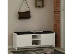 Sapateira Dbarrec, Sapateira, Armário de entrada multiuso, Armário de calçado, 110x37h43 cm, Branco