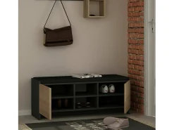 Sapateira Dbarrec, Sapateira, Armário de entrada multIuso, Armário para calçado, 110x37h43 cm, Antracite e Carvalho