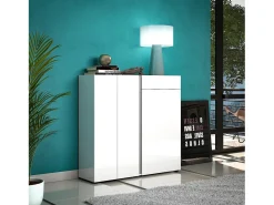 Sapateira Dbianchett, Sapateira, Armário de entrada multiusos, Armário para calçado, Made in Italy, 120x33h115 cm, Branco brilhante e Antracite