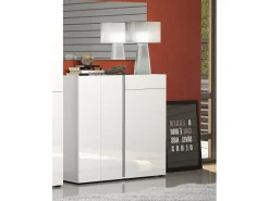 Sapateira Dbianchett, Sapateira, Armário de entrada multiusos, Armário para calçado, Made in Italy, 120x33h115 cm, Branco brilhante e Antracite
